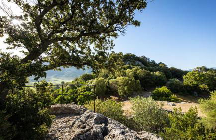 Résidences Canta Furmigula - Foto 40