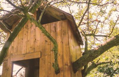 Pian del Pigro - Foto 36