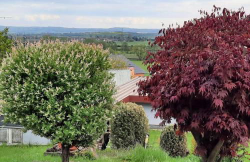 Eichenglück - Foto 11