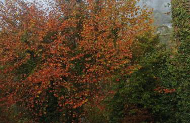 Espaço Inteiro - Apartamento Elegante e Cheio de Charme - Foto 12