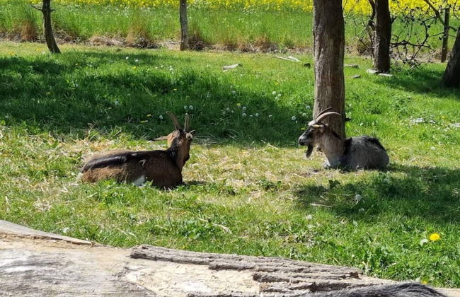 Seaside Serenity in Jaegerspris-by Traum - Foto 15