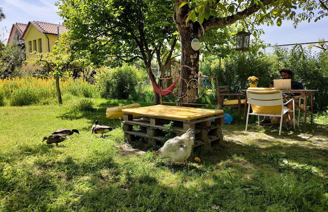 Casa das Palmeiras - Pedagogic Farm - Foto 135