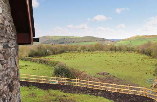 Teifi Cottage - Uk49590 - Foto 6