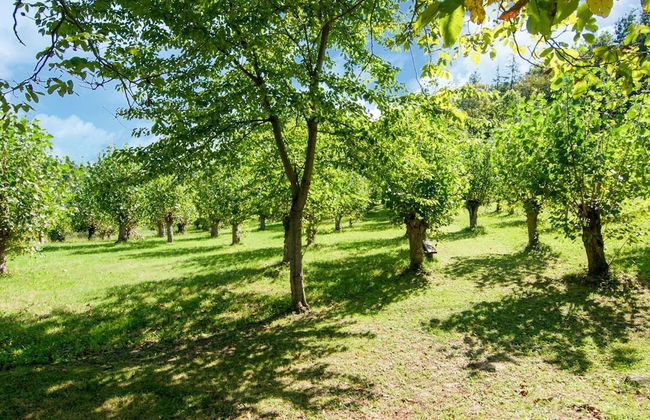 Belvilla by OYO Fattoria 19 - Foto 40