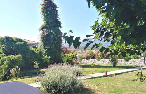 Villa Elaia - Foto 14