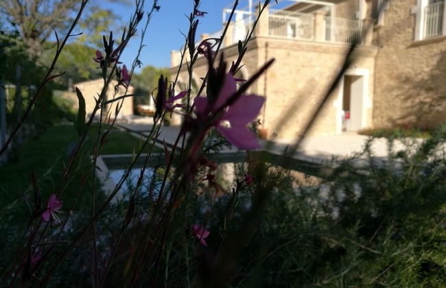 Villa Picena - Foto 45