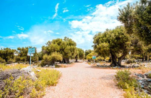 Apartmani Šegota - Photo 36