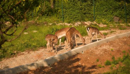 Holiday Home Villa Skavre - Foto 3