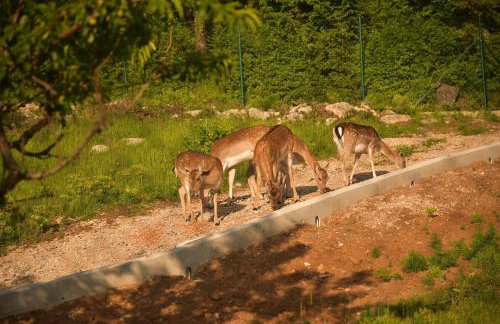 Holiday Home Villa Skavre - Foto 3