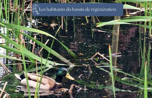 Grand Gîte Le Saule en Scie - 3 étoiles - Spa chauffé, 12 à 14 pers, jardin clos, 30 mn PuyduFou - Foto 41