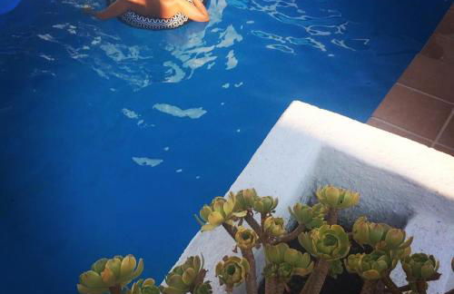 Huerta La Niña Arenas - Foto 17