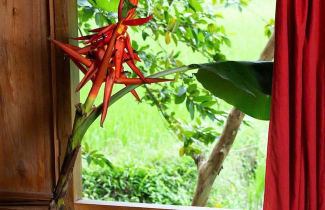 Thai House Pu Luong - Foto 23