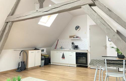 A&J COSY - Neuvy sur Loire - Guédelon - Foto 8