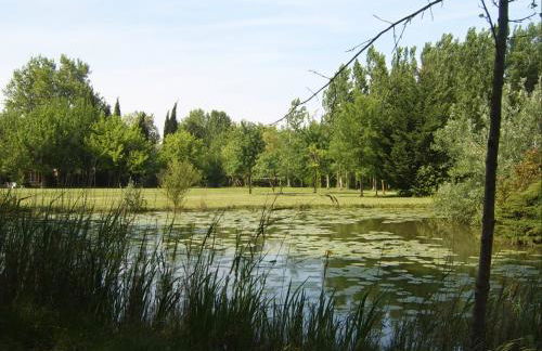 La Jacquemarie - Foto 19