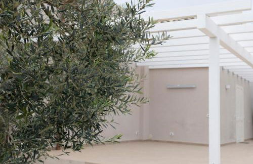 IL Casale di Petrosino - Foto 11