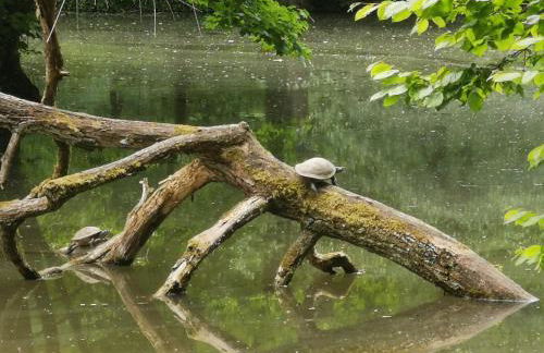 Im Herzen des Kraichgaus 1 - Foto 26