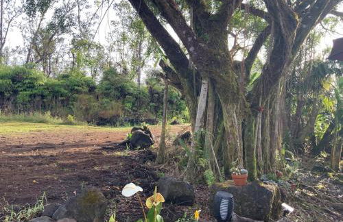 Majestic Banya tree cabin - Foto 11