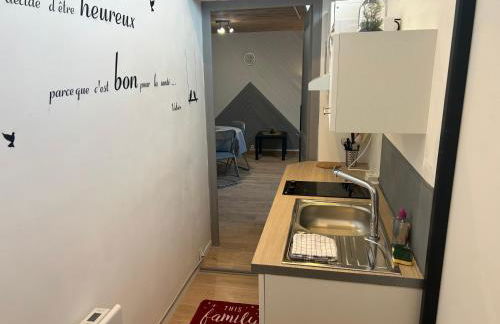 Au Bouquet Troyen - Wifi - Calme et tranquillité - Foto 38