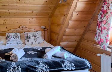 Pensjonat Dzianiszówka - Basen Jacuzzi Sauna - Foto 47