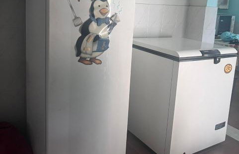 Família Calil - Foto 18