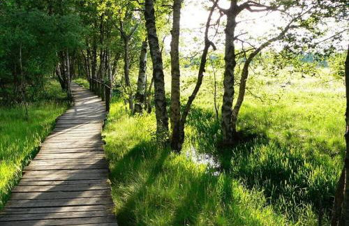 Am Turm Modern retreat - Foto 32