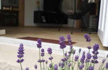 Ferienwohnung zur Parthe - Foto 7