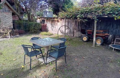 Agroturystyka Zielony Zakątek - Foto 74