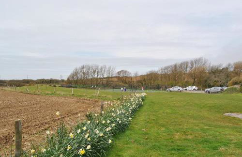 Appletree - 28555 - Photo 10