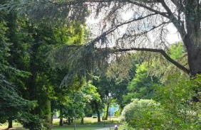 Blumenhof Duisburg HBF - Photo 27