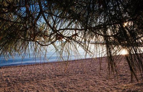 apartments VIGI - Foto 36