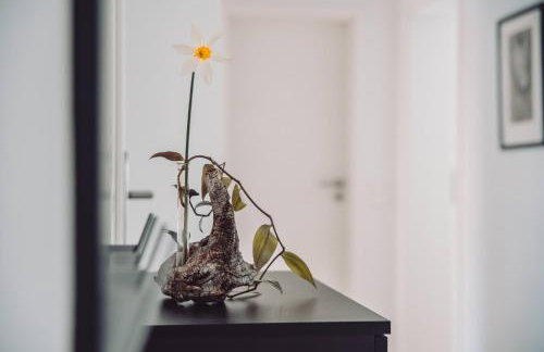 Haus am Zabelstein - Foto 21