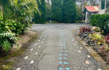 Aloha Junction Bed and Breakfast -Minutes away from Hawaii Volcanoes National Park - Foto 15