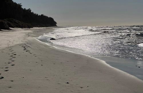 Corner House Plesna - Photo 49