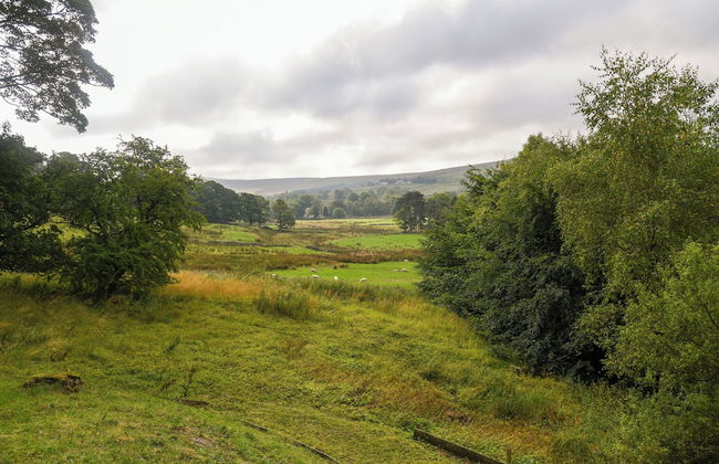 Ridgeway Cottage at Lovelady Shield - Foto 27