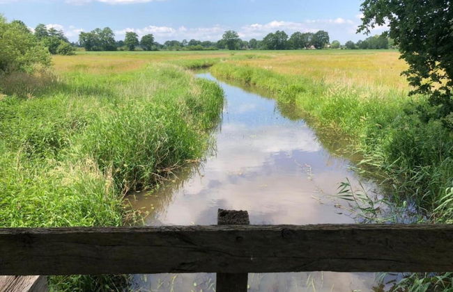 Holiday Lodge in Staphorst With Pool Access - Photo 28