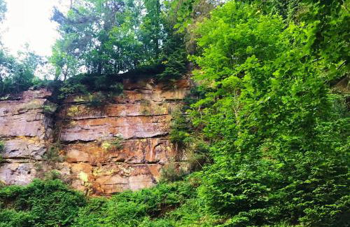 Blockhaus im Kuckuckswinkel - Foto 16