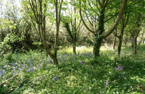 The Cottage, Little Trembroath - Photo 14