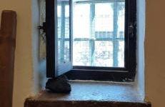 La Morada de Higuera - Foto 21