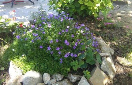 Apartment Pud Oreh - Foto 1