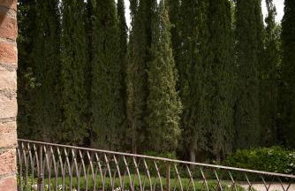 Borgo Lucignanello Bandini - Foto 22