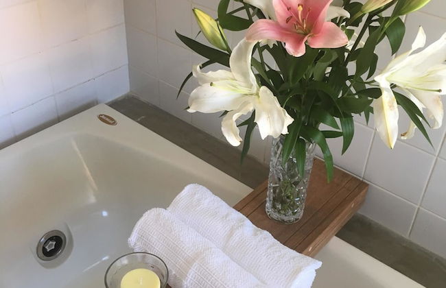 Morada Da Luz - Foto 61