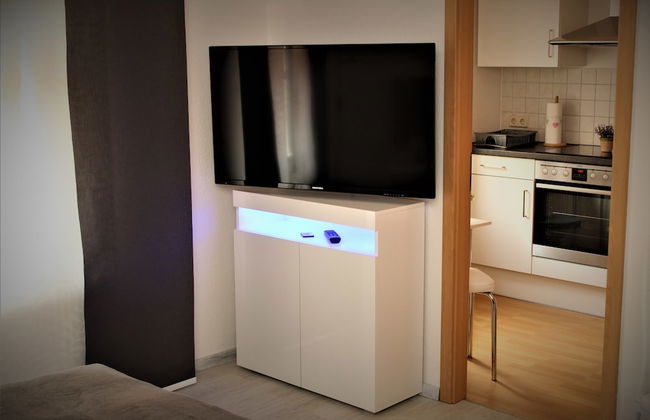 Ferienwohnungen Salzhausblick - Foto 48