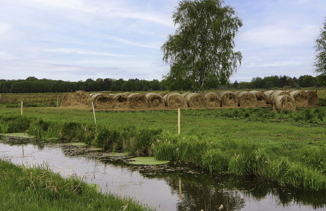 2 bedroom House in Smołdzino with garden and terrace - Foto 46