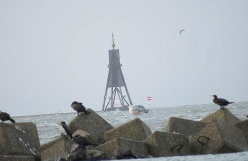 Deichblick - Foto 44