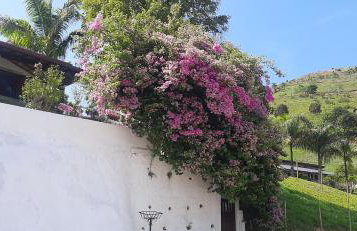 Casa de Campo em Teresópolis - Foto 28