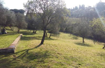 Country home in the Chiantishire close to Florence - Foto 3
