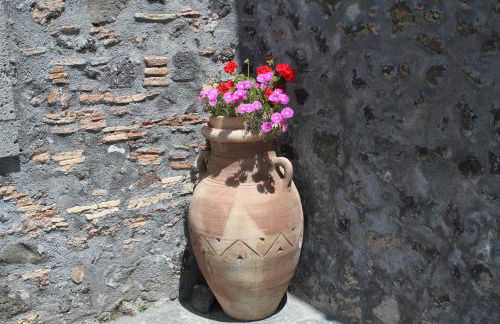 Bosco Ciancio - Foto 115