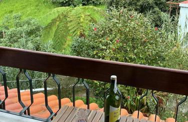 Casa Žerotín - Foto 9