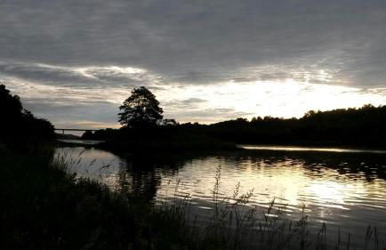 Homey Cabin Rentals Nestled in Nature along Kennebec River, Maine - Foto 5