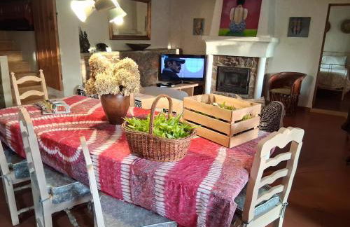 Monte do Rei Santo - Foto 62